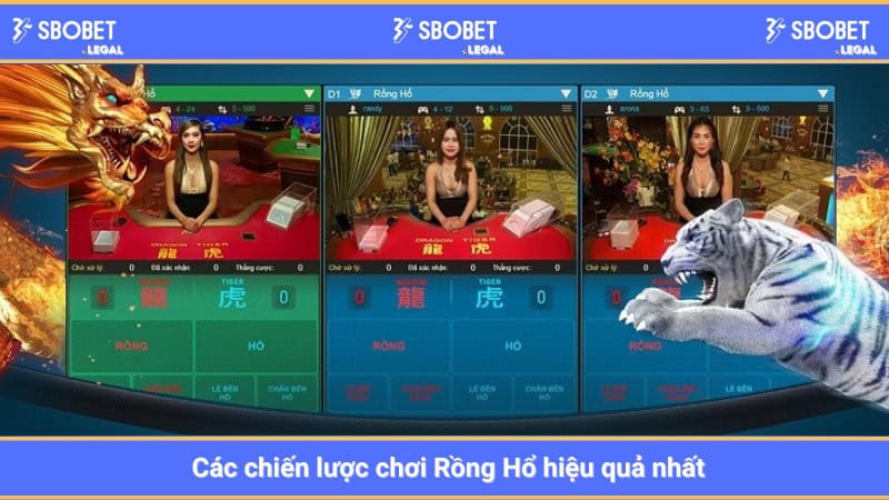 Các chiến lược chơi Rồng Hổ hiệu quả nhất 