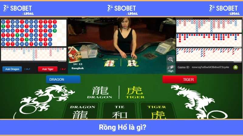 Rồng Hổ là gì? 