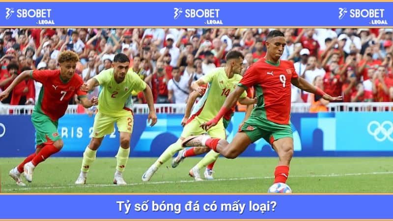 Tỷ số bóng đá có mấy loại?