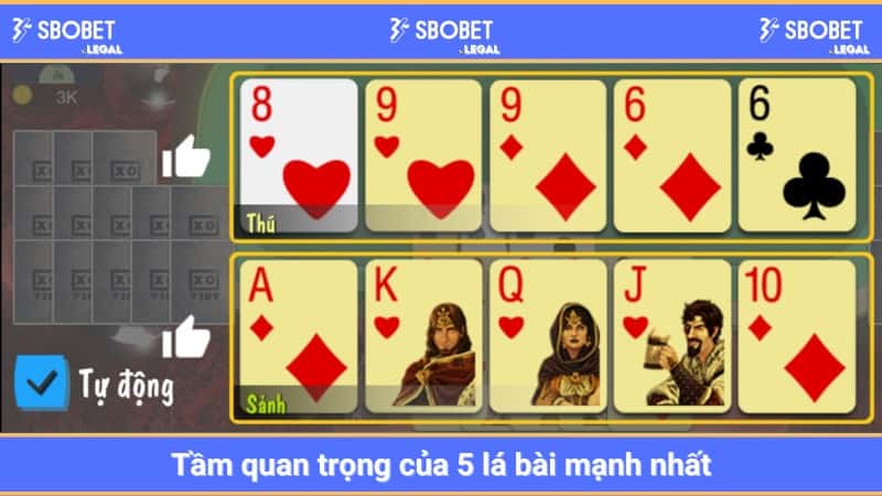 Tầm quan trọng của 5 lá bài mậu binh 