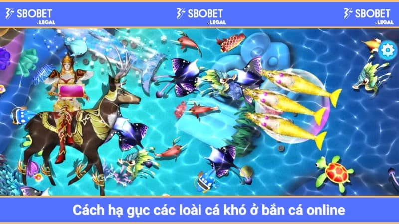 Cách hạ gục các loài cá khó ở bắn cá online