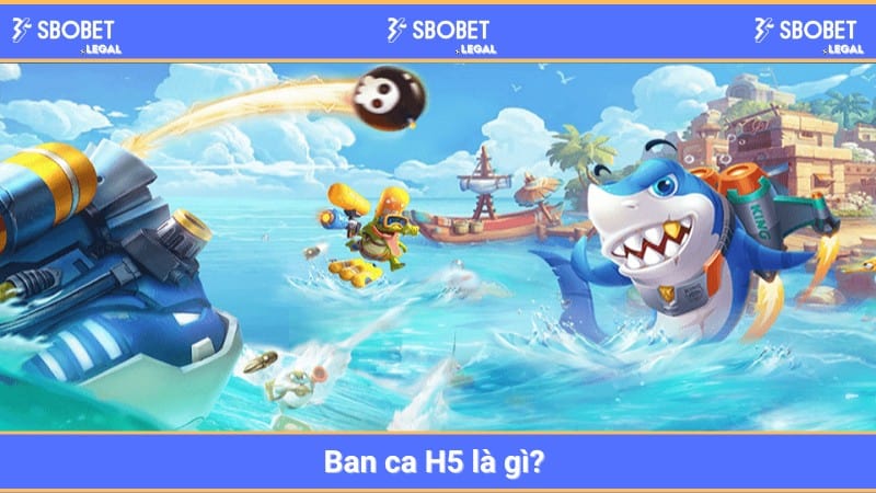 Ban ca H5 là gì? 