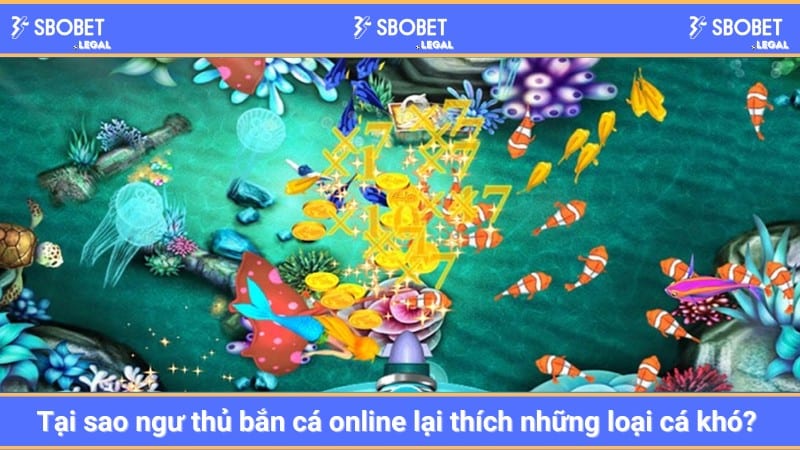Tại sao ngư thủ bắn cá online lại thích những loại cá khó? 