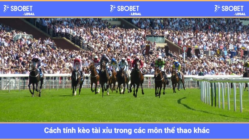 Cách tính kèo tài xỉu trong các môn thể thao khác