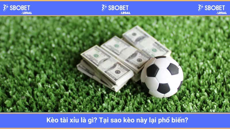 Kèo tài xỉu là gì? Tại sao kèo này lại phổ biến?