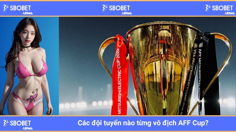 Các đội tuyển vô địch AFF Cup qua từng năm