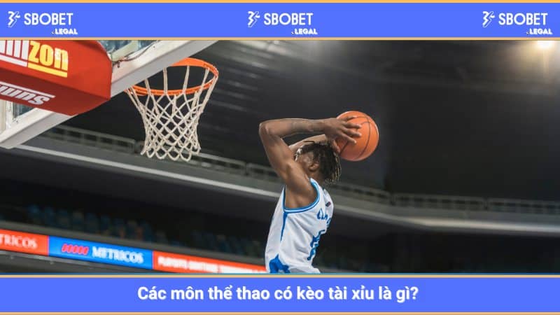 Các môn thể thao có kèo tài xỉu là gì? 