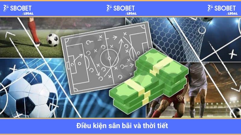 Điều kiện sân bãi và thời tiết