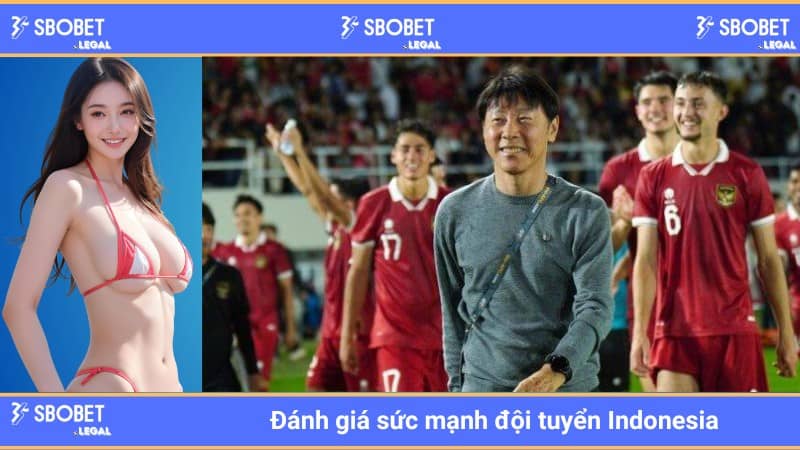 Đánh giá sức mạnh đội tuyển Indonesia