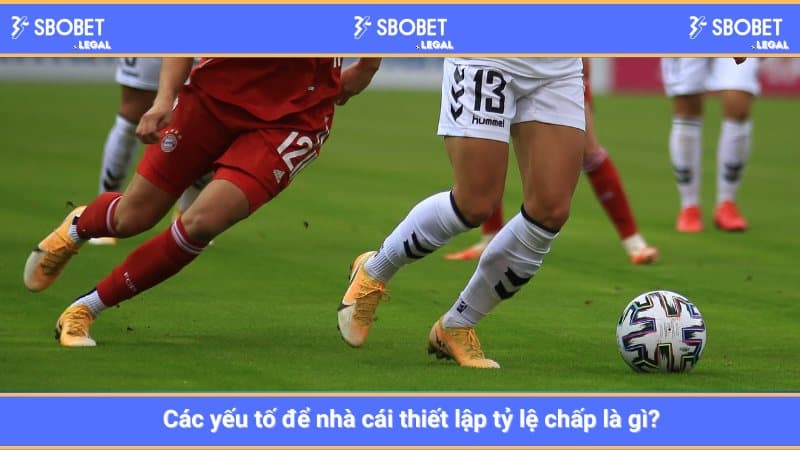 Các yếu tố để nhà cái thiết lập tỷ lệ chấp là gì?