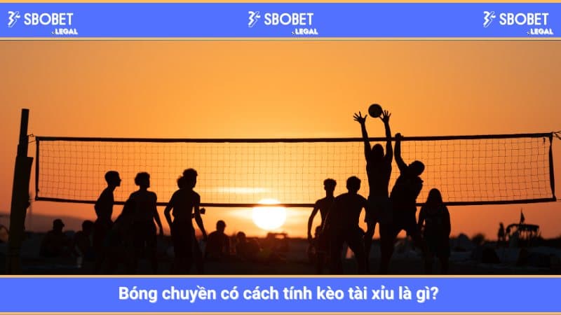 Bóng chuyền có cách tính kèo tài xỉu là gì? 