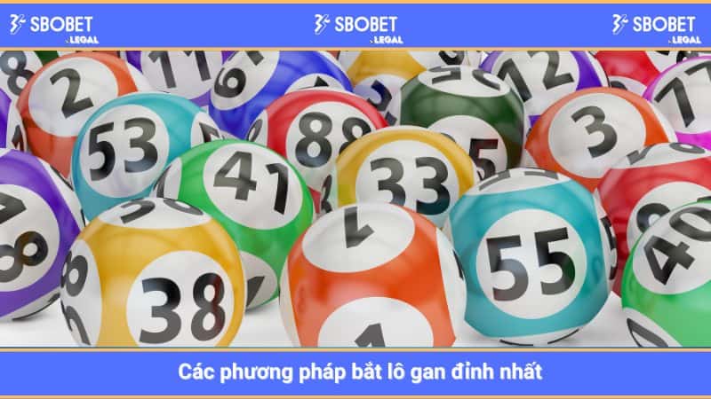 Các phương pháp bắt lô gan đỉnh nhất 