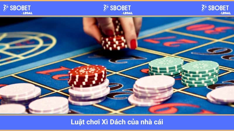 Vai trò và nhiệm vụ của nhà cái