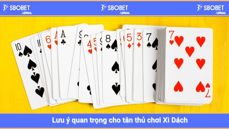 Lưu ý quan trọng cho tân thủ chơi Xì Dách