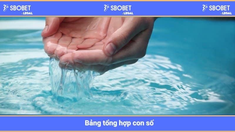 Bảng tổng hợp con số