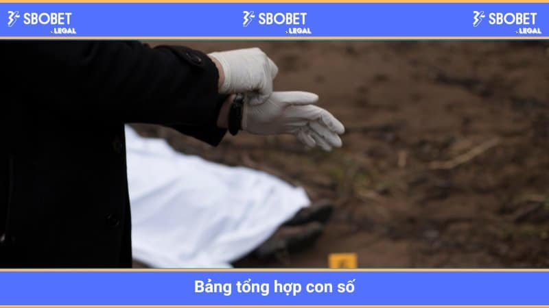Bảng tổng hợp con số