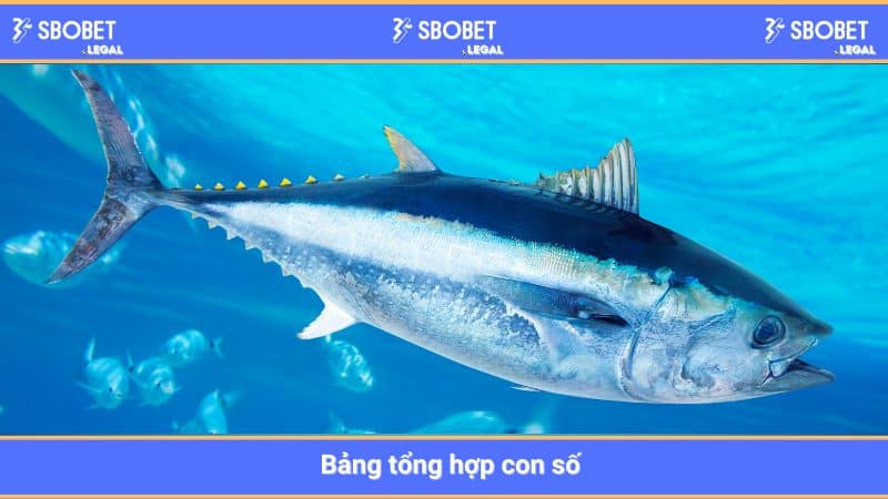 Con Số May Mắn Khi Mơ Thấy Cá 