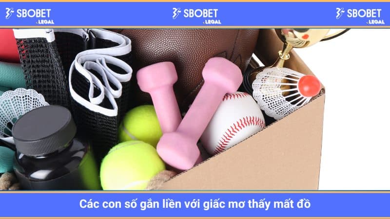 Các con số gắn liền với giấc mơ mất đồ